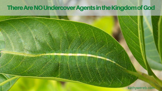 There Are NO Undercover Agents in the Kingdom of God @ KathyWereb.com