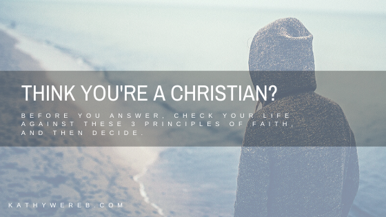 Think You’re a Christian? Before You Answer, Check Your Life Against These 3 Principles of Faith, and Then Decide. @KathyWereb.com